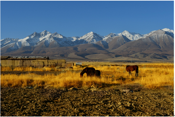 62D624BCB9CCEDD7B8FE1DAD1E9_4D56C9EC_5B49B.jpg?e=